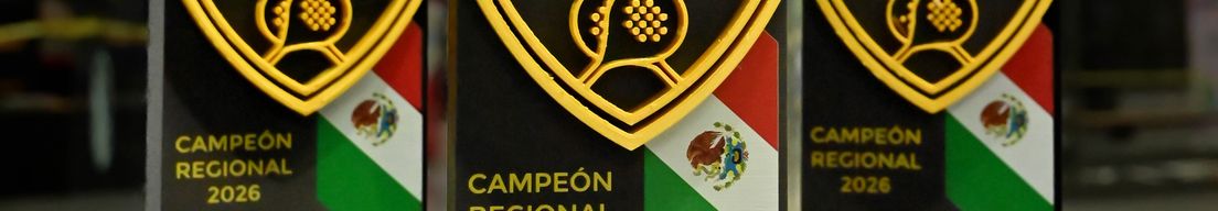 SNP FINAL REGIONAL ZONA OCCIDENTE by Diego Zubieta Palencia cover