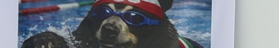 Cover photo for Fotografías