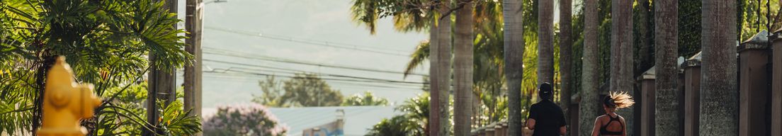 Cover photo for Fotos Running Jueves Lindora