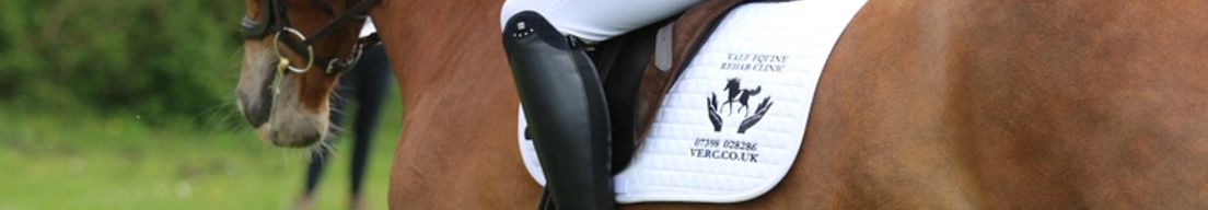 Dressage by Emilie Kelleher 표지