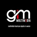 GM Multimedia