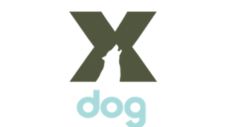 Maupin Daze 5K/10K cover