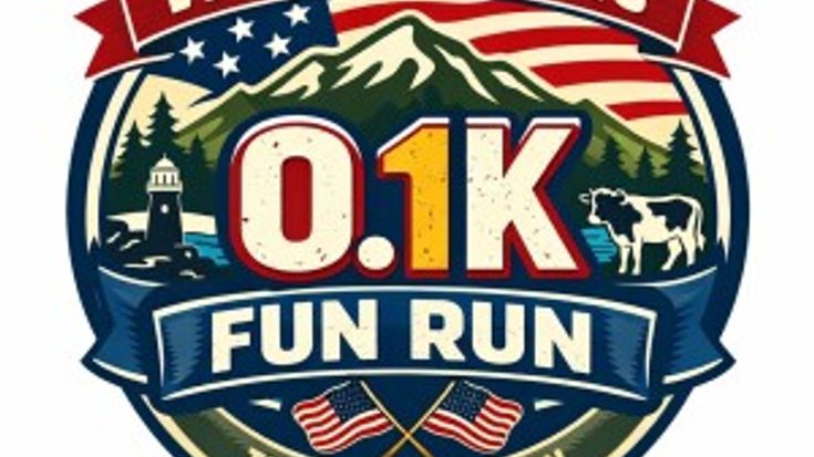 VFW POST 2848 0.1K FUN RUN cover
