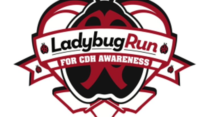 Ladybug Run for CDH Awareness 5K/10K cover