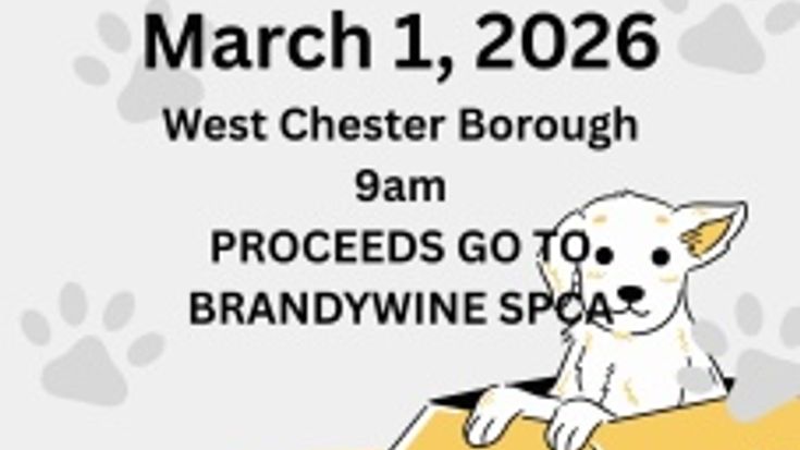 March for Paws 5K cover