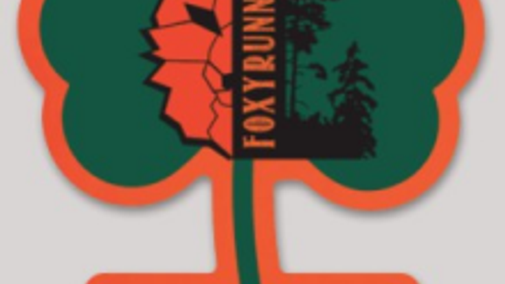 Shamrock shenanigans Endurance Run cover