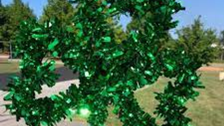 Kiski Area Shamrock Run 5K cover