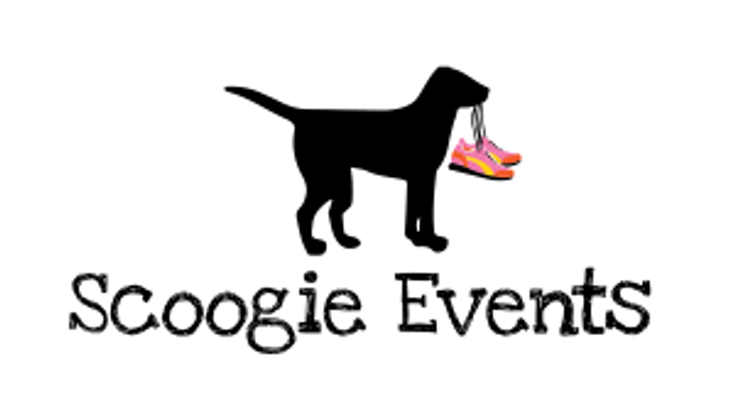 13th Annual Shake Your Shamrock 8k, 5k, Little Leprechaun Kid's Run & Pot o' Gold 2 Mile Fun Run/Walk & ST. PATTY'S AFTER PARTY! cover