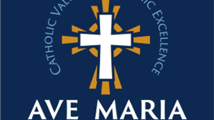 Shamrock Shuffle 5k Run/Walk cover