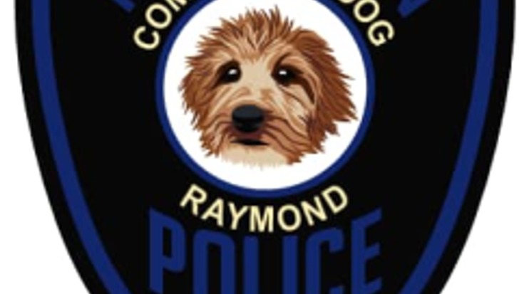 Third Annual Race for Raymond cover