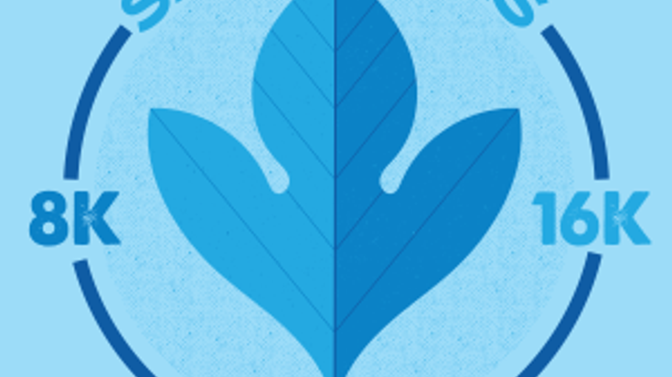 Sassafras 8 Mile Run/Walk cover