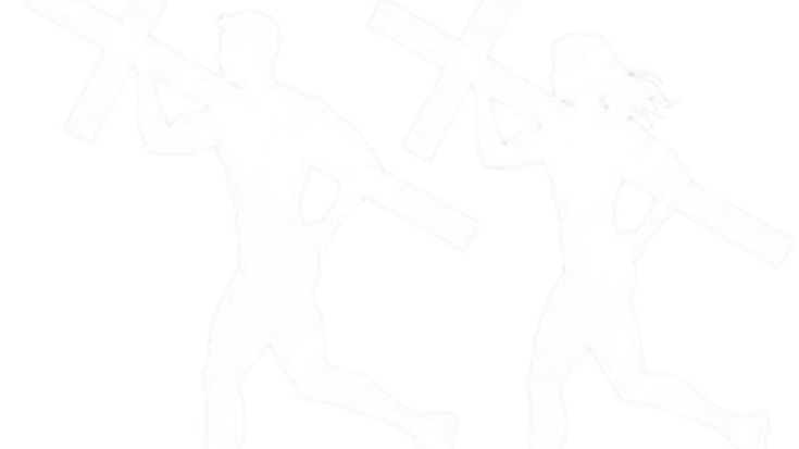 Holston Creek CROSS Country 5K cover