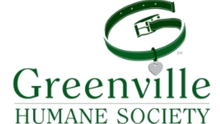 Papa Johns Mutt Strut cover