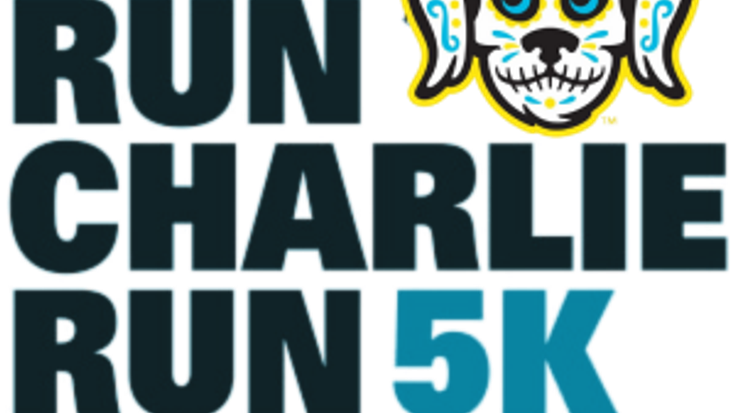 Charleston RiverDogs: Run Charlie Run 5K cover