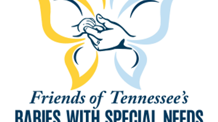 The Butterfly Run cover