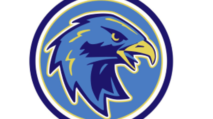 HAWK WALK AND RUN cover