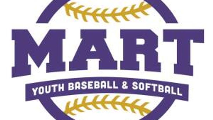 Run It Back for the Panthers cover