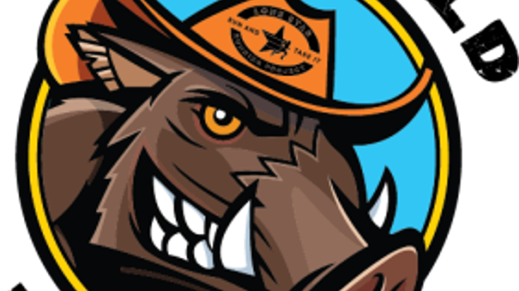 Hog Wild 5k & 10k cover