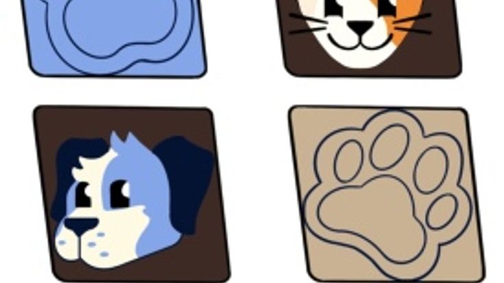 Sole Circle Run For Paws 5k cover