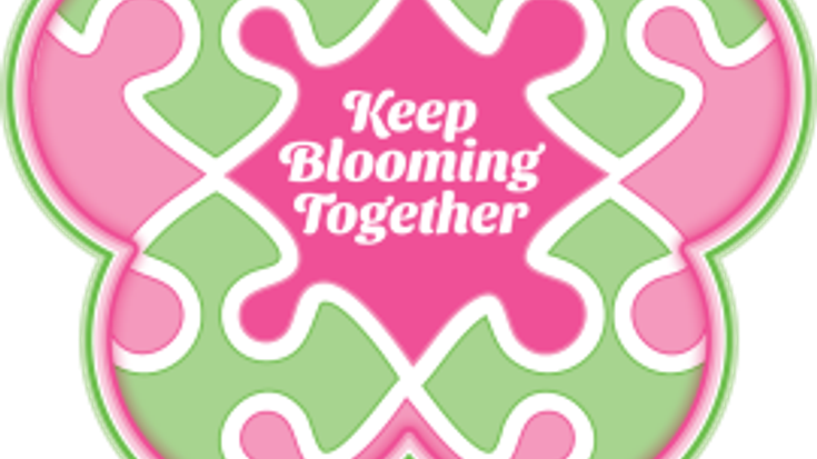 Apple Blossom Valley Health 10K and Shenandoah Valley Orthodontics Kids' Bloomin' Mile cover