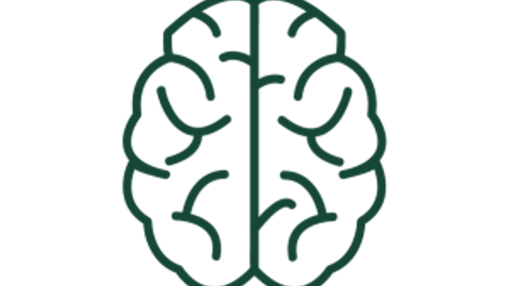 UVM Wellness Environment 4/20 5K cover