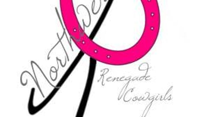 Pink Pony Trot cover