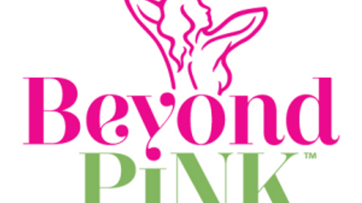 The Ta Ta Dash The Race to Erase Breast Cancer cover