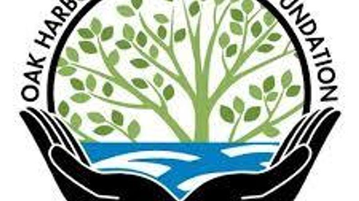 OHEF Family Fun Run cover