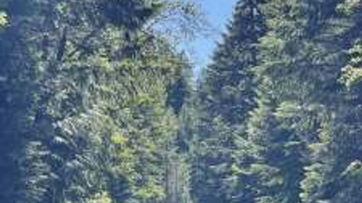 Clear Lake Memorial Runs cover