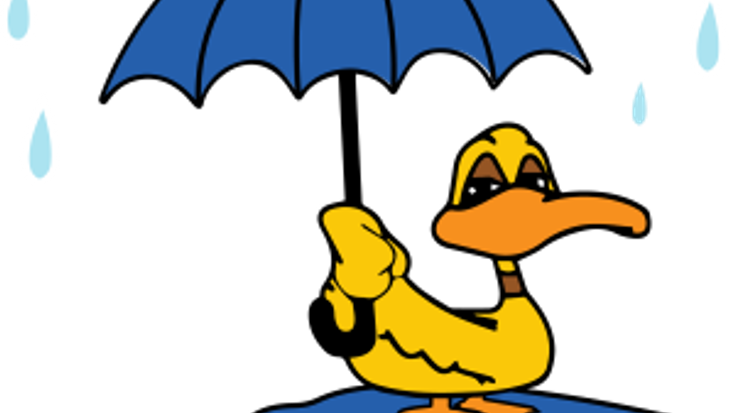 Jeanne Richie Memorial Puddle Jump cover