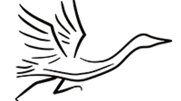 Tomorrow River Trail Half-Marathon cover