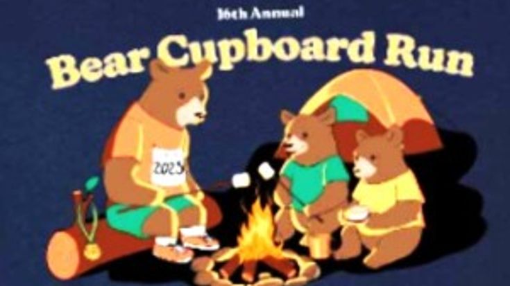 Bear Cupboard Run cover