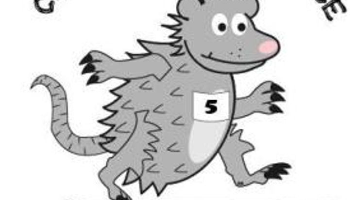 Country Possum Chase cover