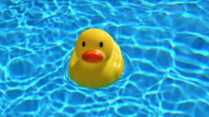 Duck Dash 5k Run / Walk & Kids Race cover