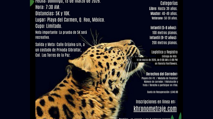 DISFRUTA LA JUNGLA 3 cover