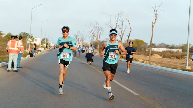 carrera sadasi 14 cover