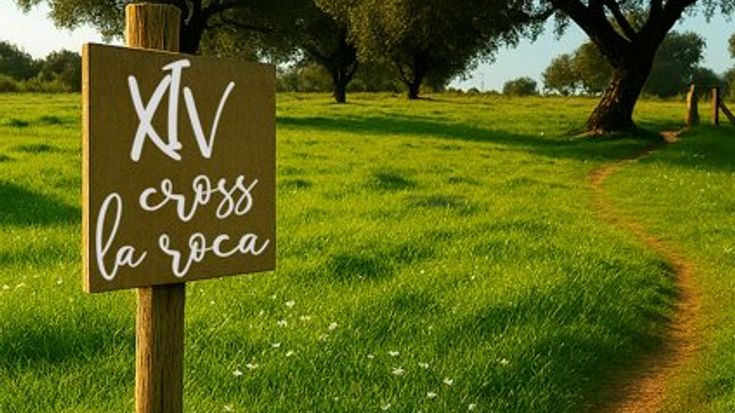 XIV Cross Semana Santa cover