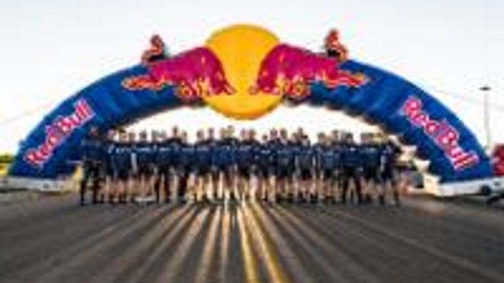 Fiesta Wildflower 2026 cover