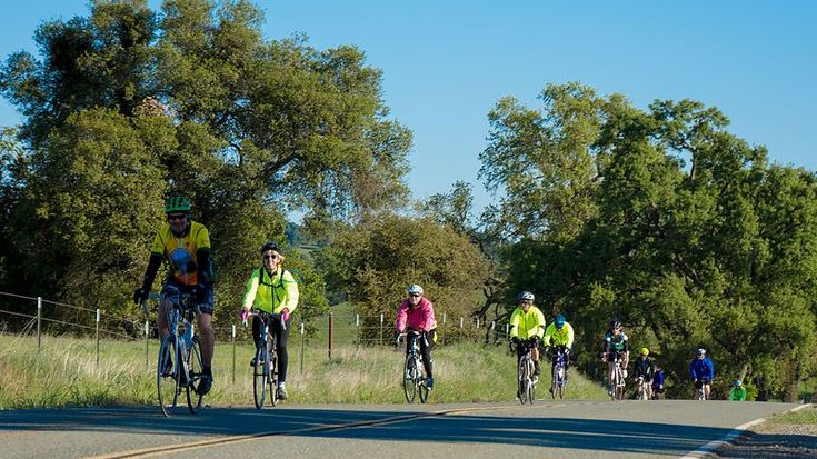 PARTY PARDEE 2026 cover