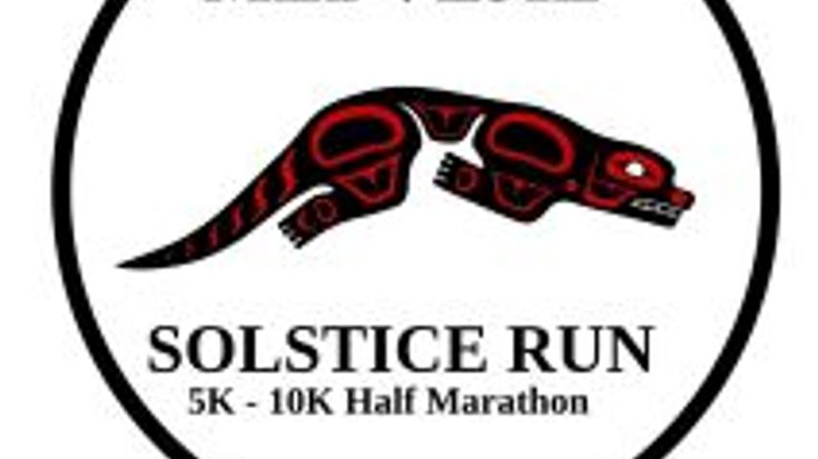 Medvejie Solstice Run cover