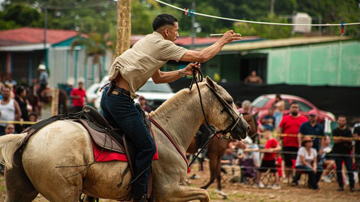 Confraternidad Equina CABLSUR cover