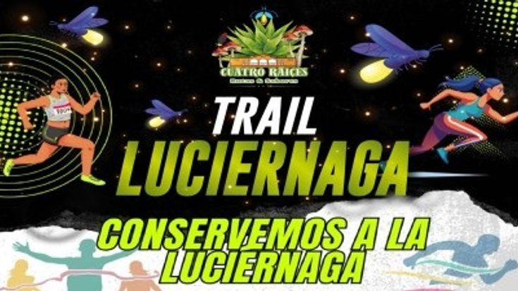 Trail Luciérnaga 21k-12k-5k 2026 cover