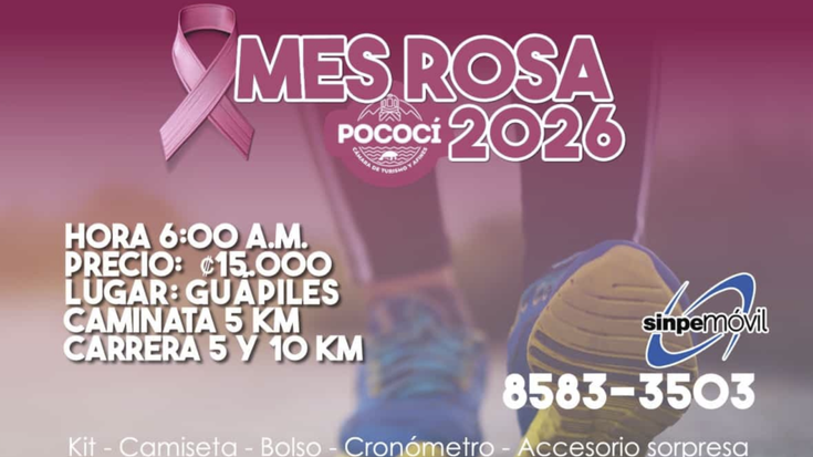 Pink Run 2026 cover