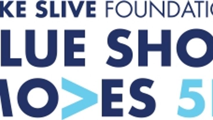 Blue Shoe Moves cover