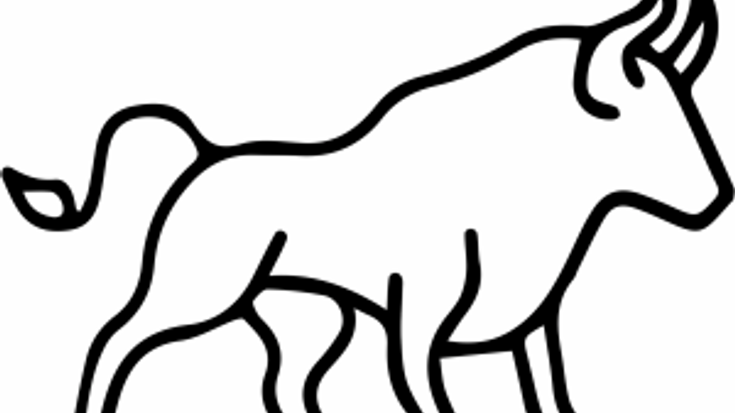Alexander & Jay Lin's 5K Bull Run cover