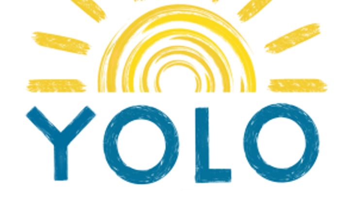 YOLO Run cover