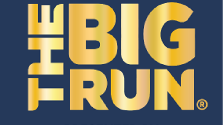 Fleet Feet Chico The Big Run cover