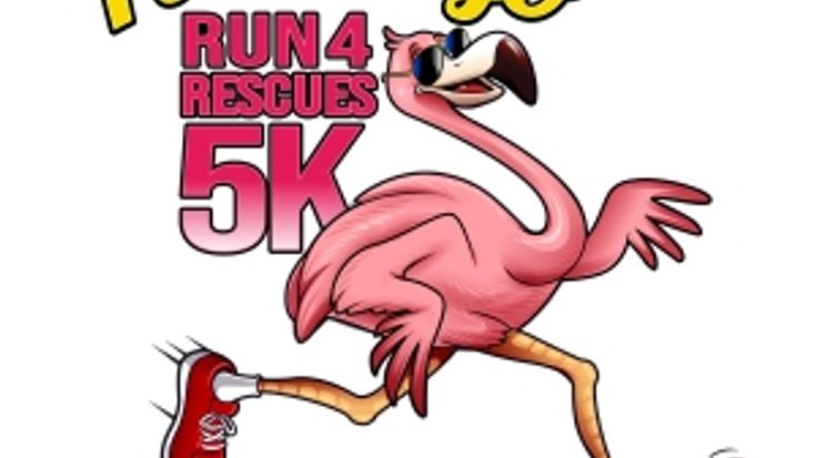 Flamingo Run for Rescues 5k - SOLD OUT! cover