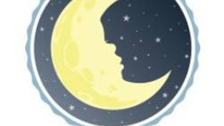 Max's Moon Run cover