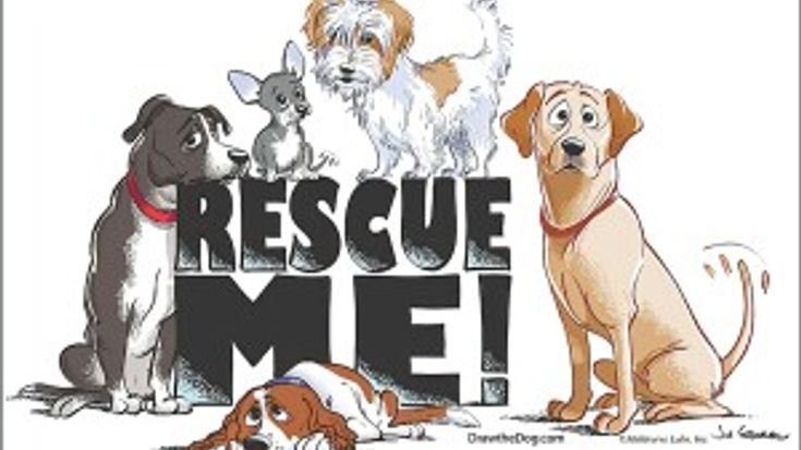 K's For Canines 5K and 3K cover